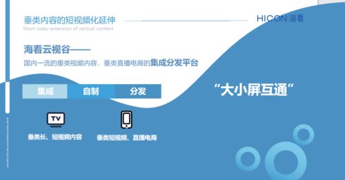 三晉論道，共話未來 ?？垂煞菰S璐璐談精品垂類內(nèi)容產(chǎn)業(yè)化與河北網(wǎng)站開發(fā)的協(xié)同發(fā)展