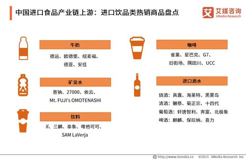 2023-2024年中國進口食品電商行業展望 市場規模持續擴大與河北網站開發的機遇